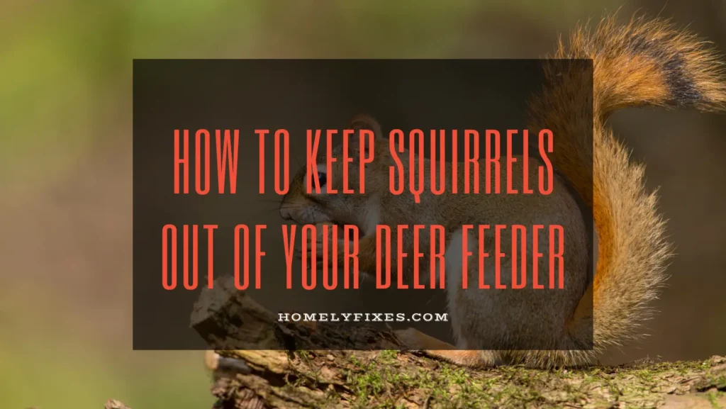How To Keep Squirrels Out Of Your Deer Feeder