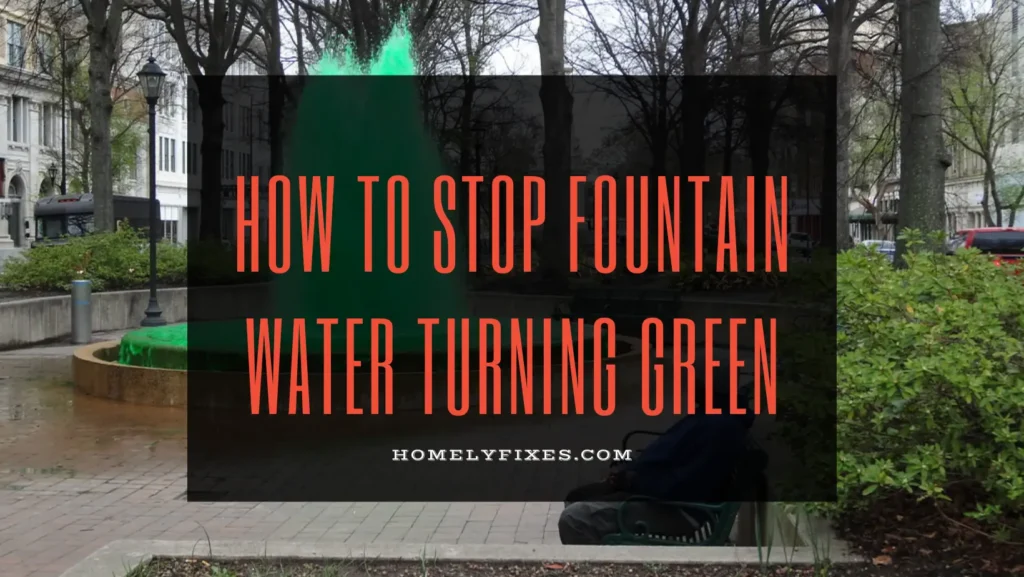 How to Stop Fountain Water from Turning Green