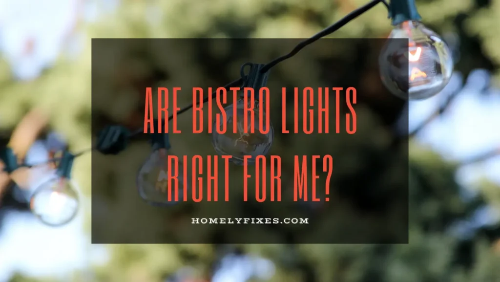 Are Bistro Lights Right For Me Hang String Lights