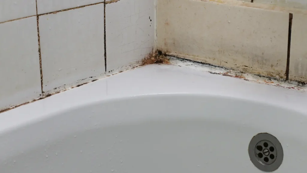 Find Out if There is Mold Behind The Shower Tiles