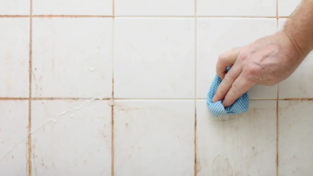 Clean tiles and Remove Mold From Your Shower Tiles